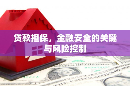 桑日贷款担保，金融安全的关键与风险控制