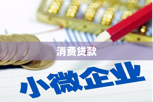桑日消费贷款