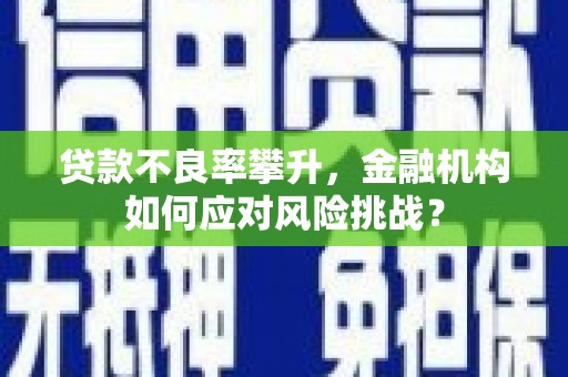 桑日贷款不良率攀升，金融机构如何应对风险挑战？