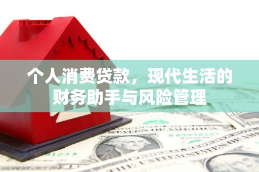 桑日个人消费贷款，现代生活的财务助手与风险管理