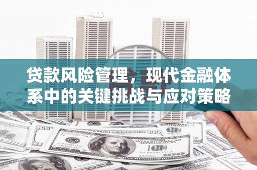 桑日贷款风险管理，现代金融体系中的关键挑战与应对策略
