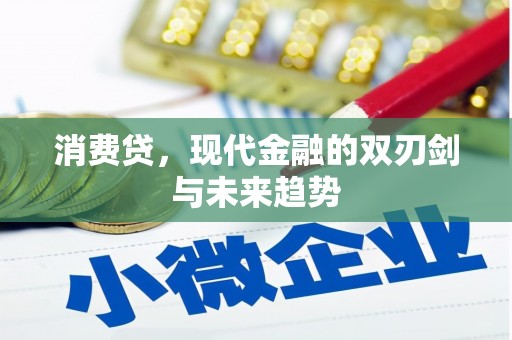 桑日消费贷，现代金融的双刃剑与未来趋势