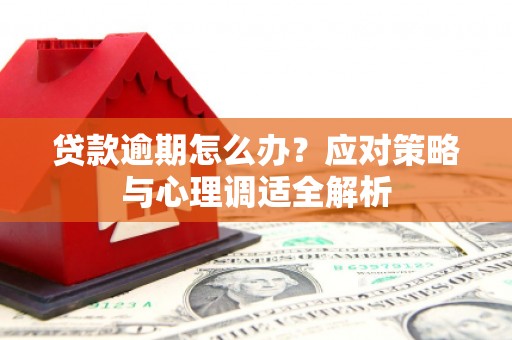 桑日贷款逾期怎么办？应对策略与心理调适全解析