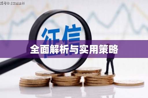 桑日全面解析与实用策略