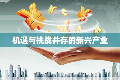 桑日机遇与挑战并存的新兴产业