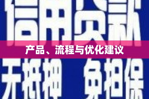 桑日产品、流程与优化建议