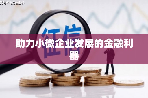 桑日助力小微企业发展的金融利器