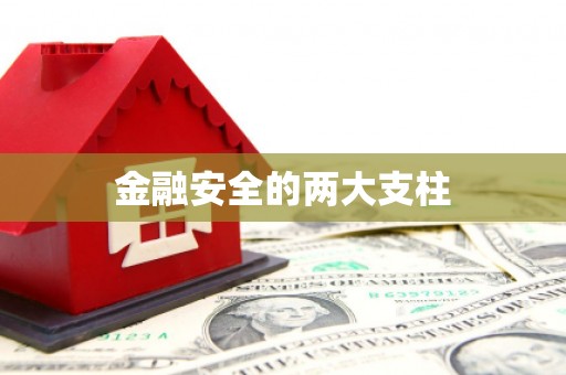 桑日金融安全的两大支柱