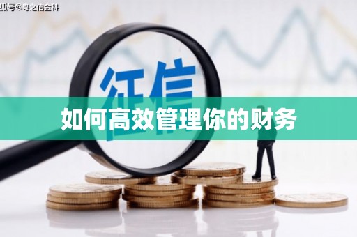 桑日如何高效管理你的财务