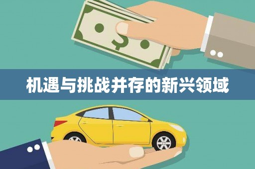 桑日机遇与挑战并存的新兴领域