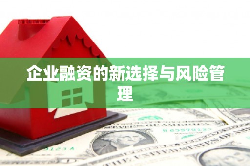 桑日企业融资的新选择与风险管理