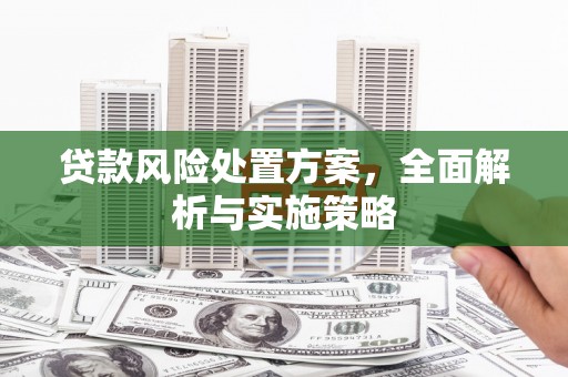 桑日贷款风险处置方案，全面解析与实施策略