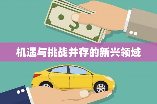 桑日机遇与挑战并存的新兴领域