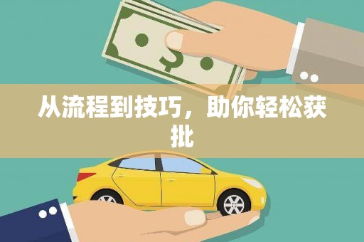 桑日从流程到技巧，助你轻松获批