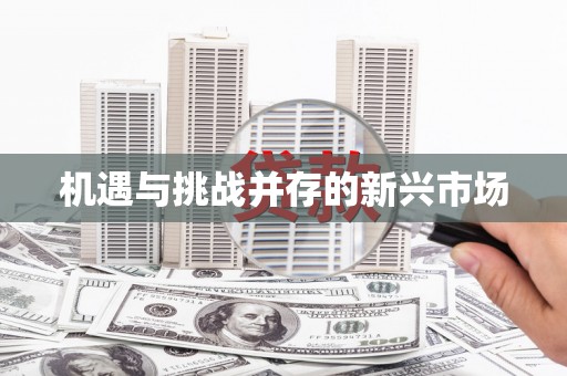 桑日机遇与挑战并存的新兴市场