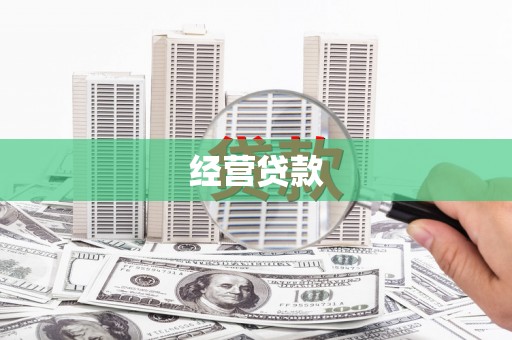 桑日经营贷款