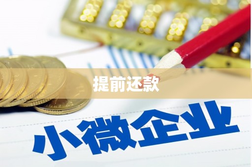 桑日提前还款