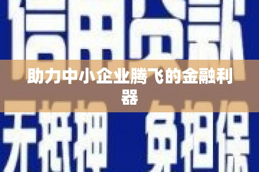 桑日助力中小企业腾飞的金融利器