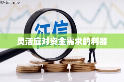 桑日灵活应对资金需求的利器