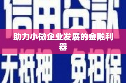 桑日助力小微企业发展的金融利器