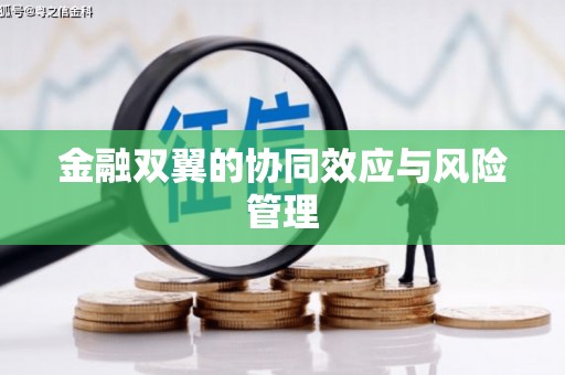 桑日金融双翼的协同效应与风险管理