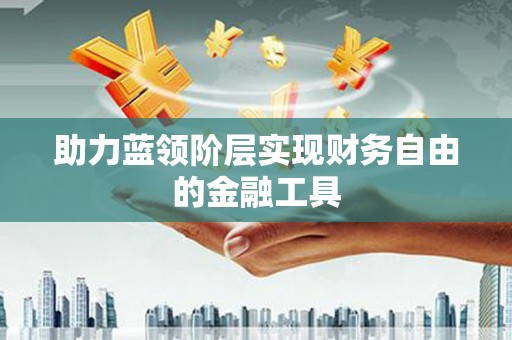 桑日助力蓝领阶层实现财务自由的金融工具