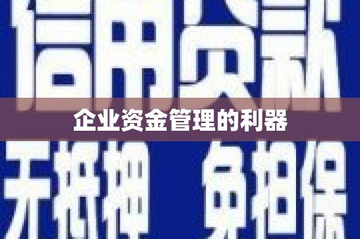 桑日企业资金管理的利器