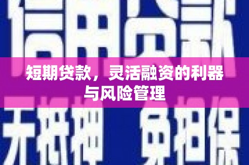桑日短期贷款，灵活融资的利器与风险管理