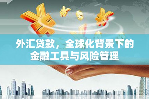 桑日外汇贷款，全球化背景下的金融工具与风险管理